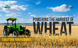 Powering the Harvest of Wheat: Tractors for Farming