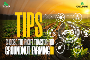 Tips to Choose the Right Tractor for Groundnut Farming